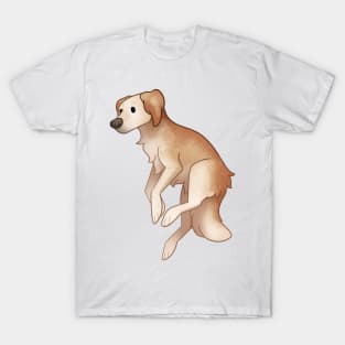 Cozy Golden Retriever T-Shirt